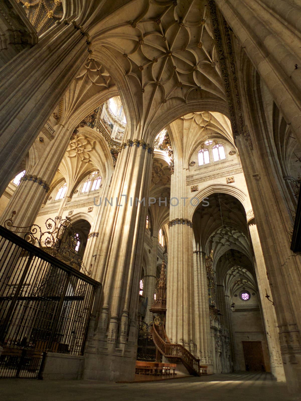 public cathedral of Salamanca city in Castilla Spain