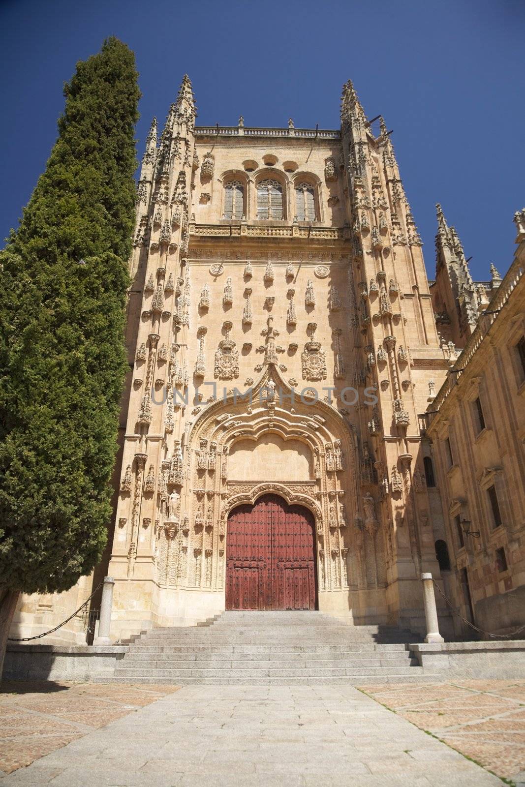 view of Salamanca city in Castilla Spain Europe