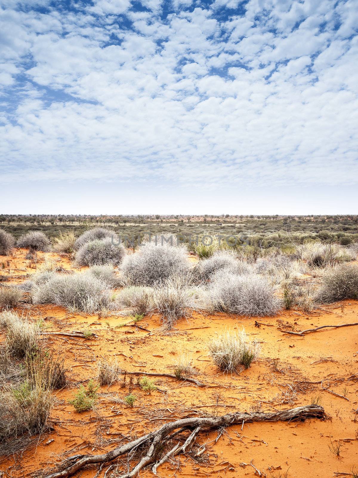 outback by magann