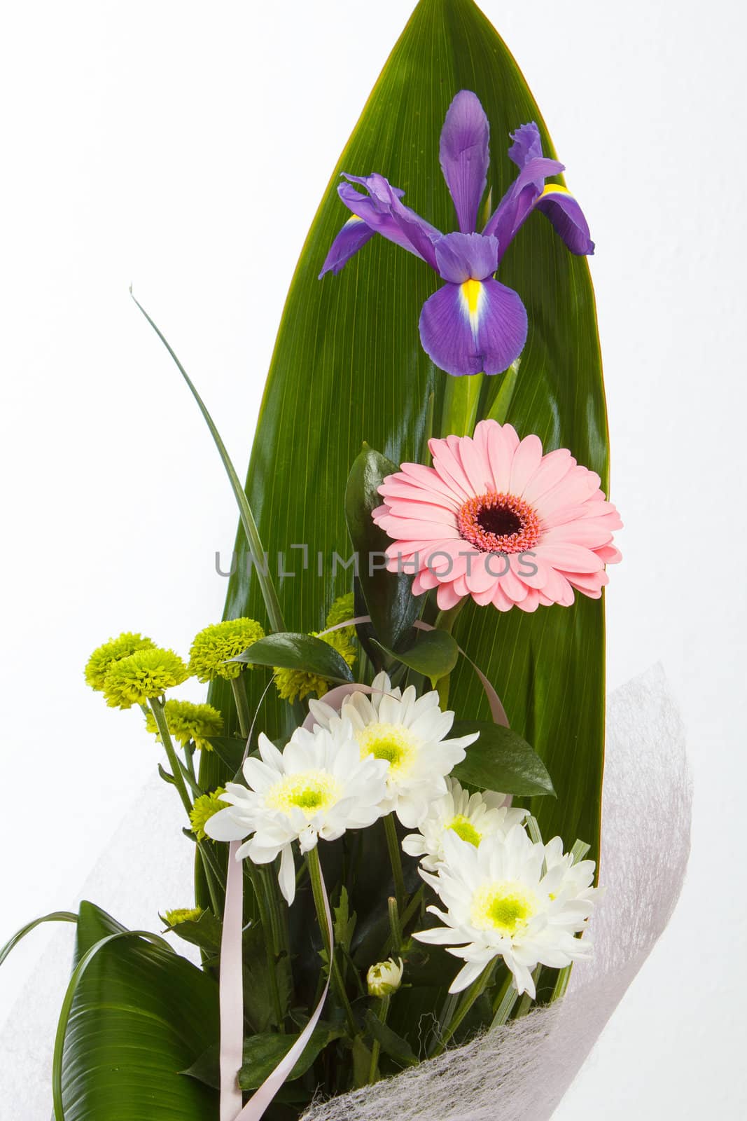fresh flower bouquet with gerber on white background 