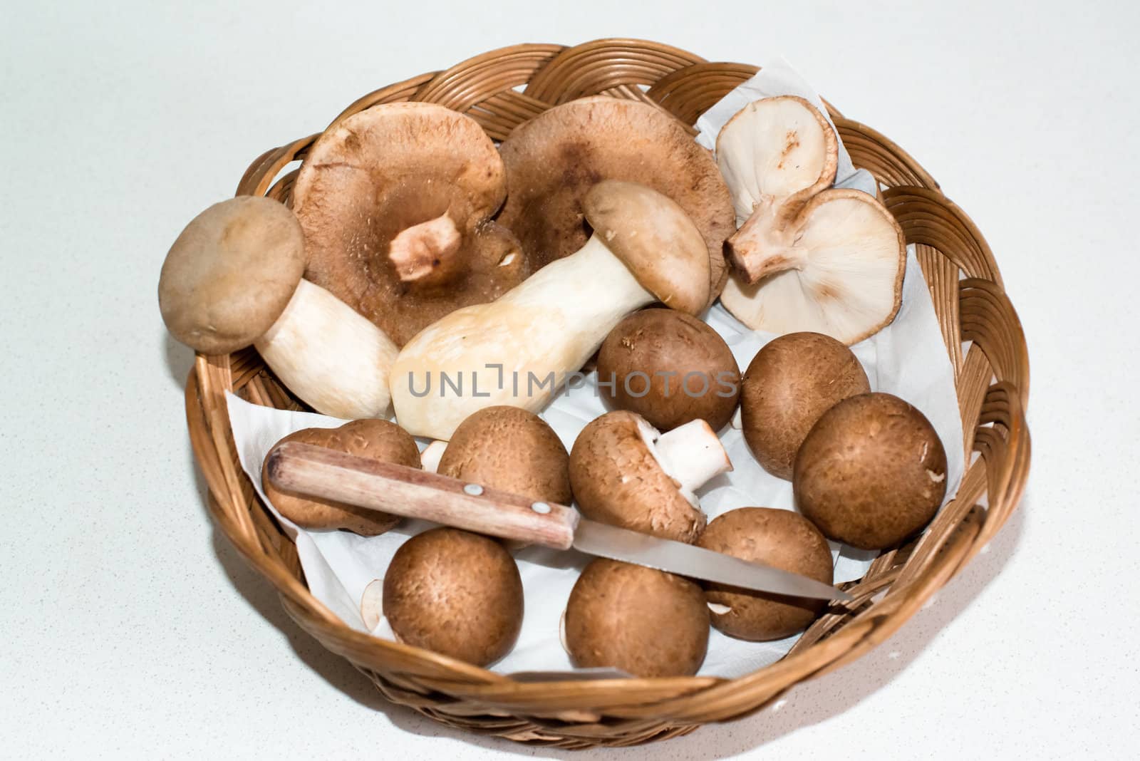 Assortment of collected mushrooms with knife in a basket