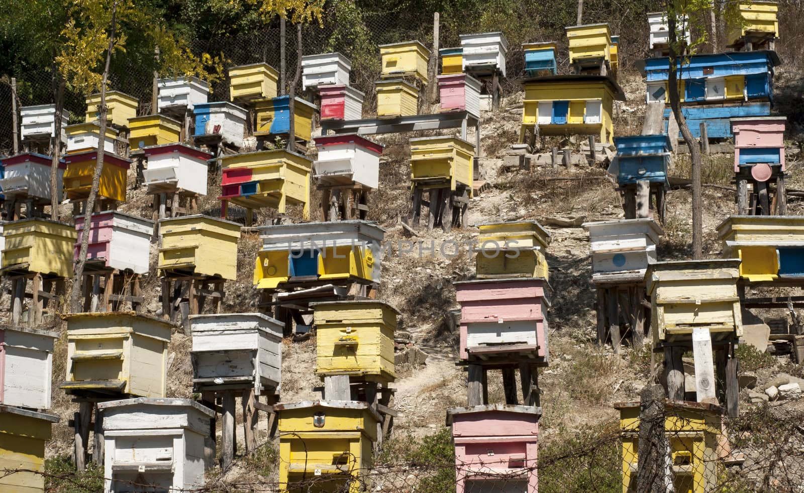 Colored beehives by varbenov