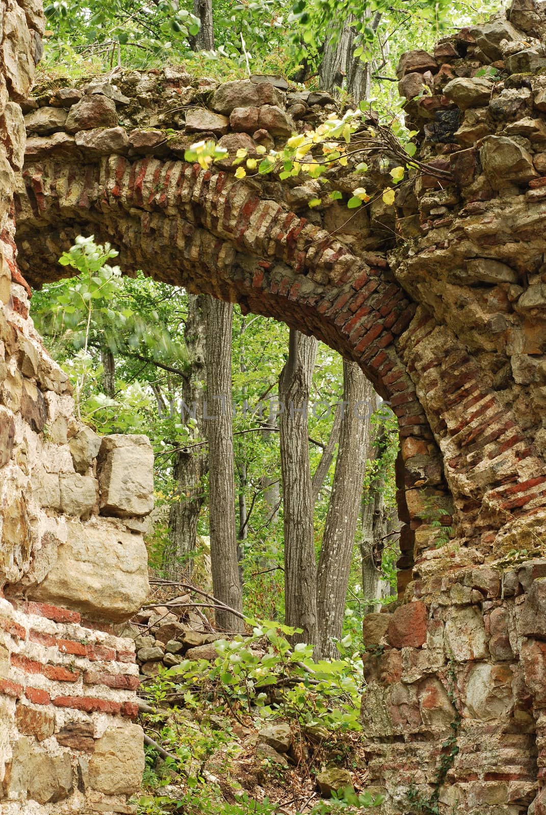 Ancient roman fortress ruins, arch, wall, forest