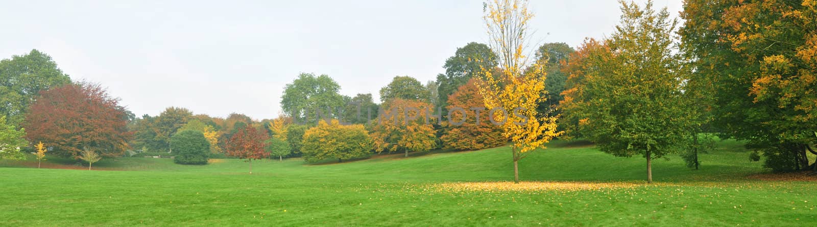 autumn english landscape in London England panorama image