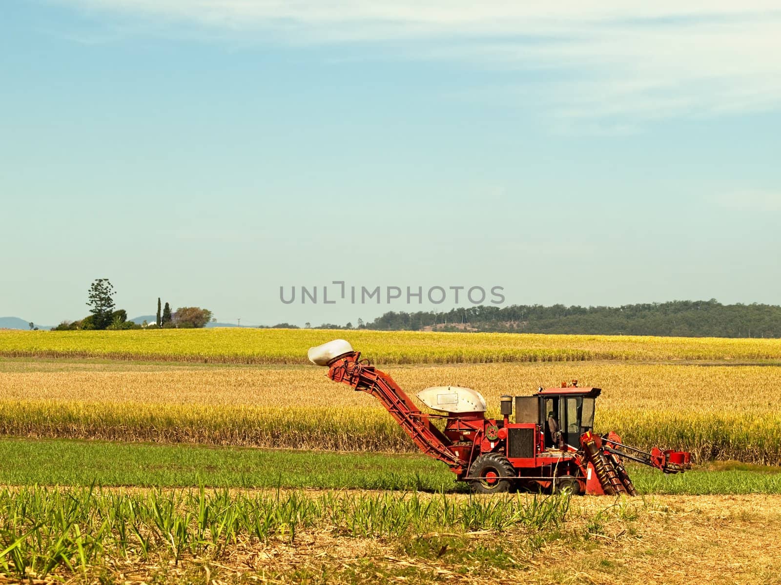 Red Farm machine cane harvester on Australian agriculture land sugarcane plantation 
