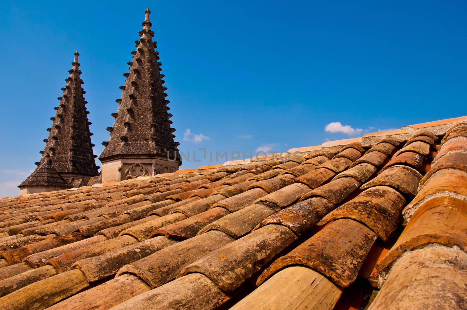 Old church roof with pointy towers by martinm303