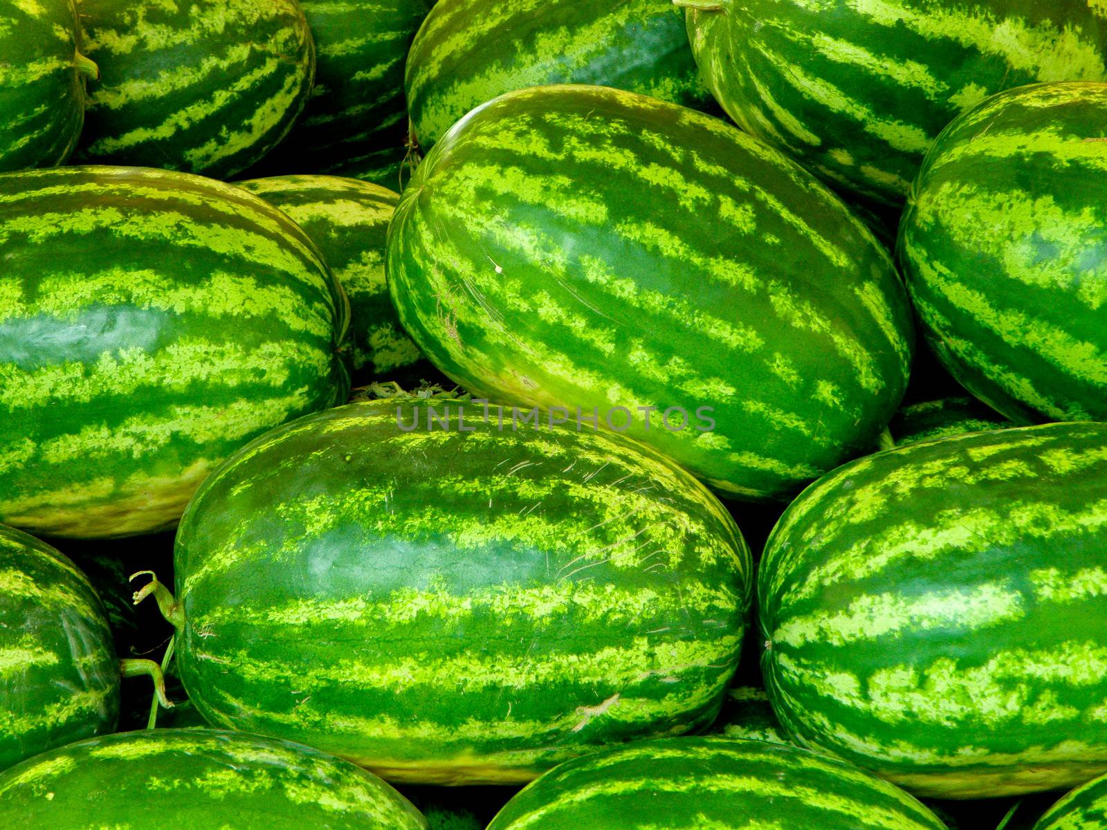 Green vivid colorful watermellons vegetable detail view