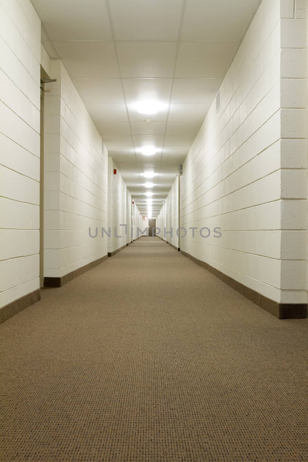 Modern Hallway in new building