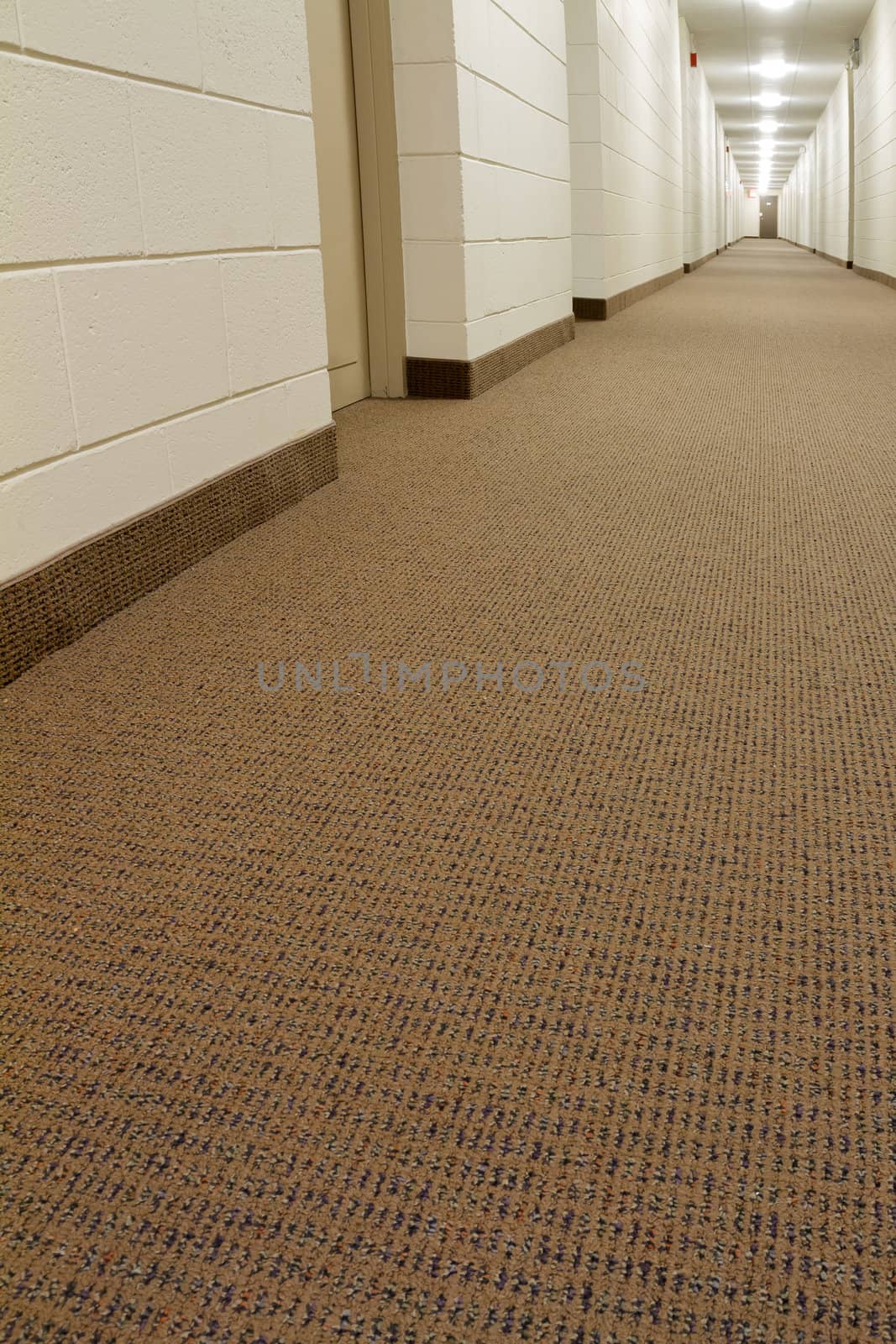 Modern Hallway in new building