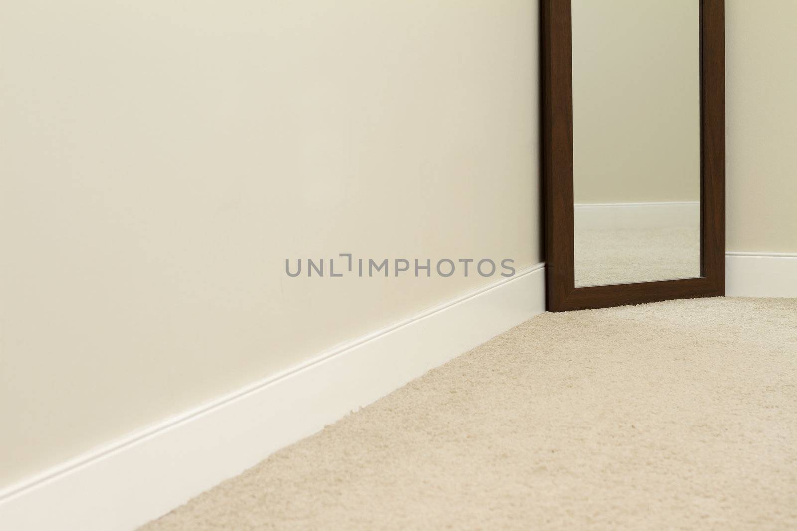 Empty room with carpet and mirror. 