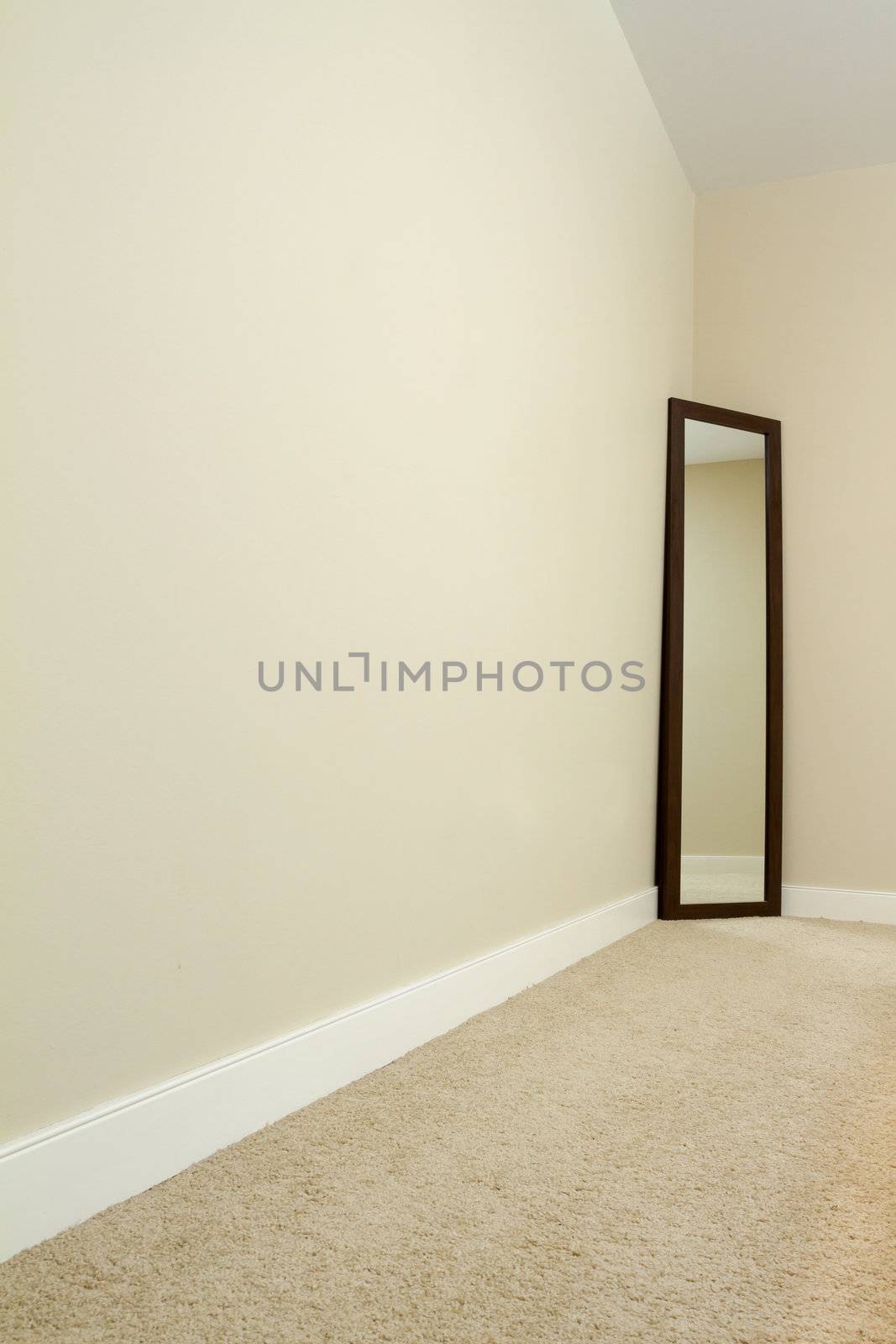 Empty room with carpet and mirror. 