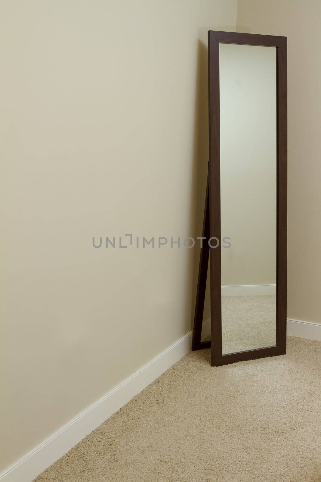 Empty room with carpet and mirror. 