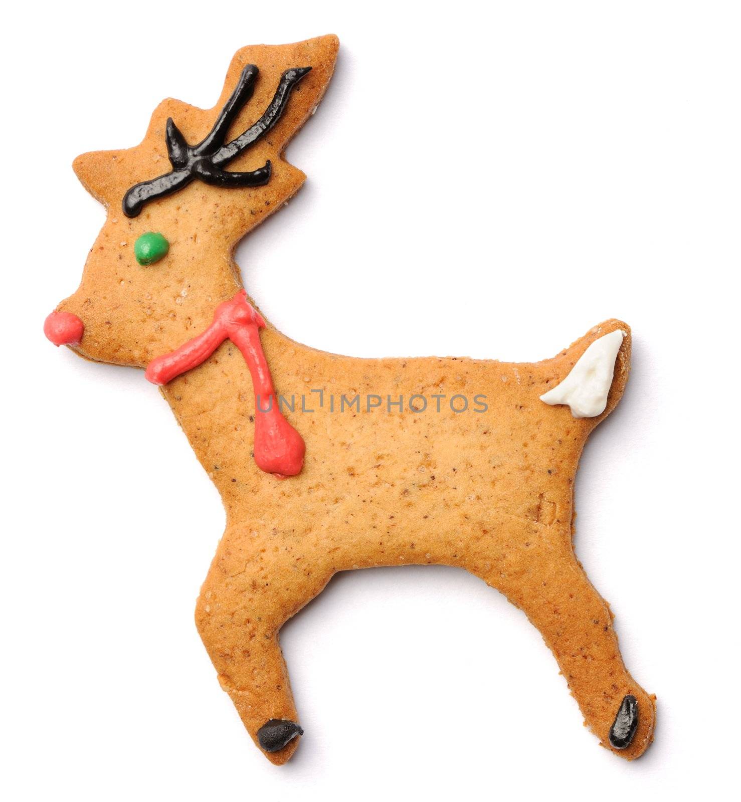 Christmas gingerbread deer cookie isolated on white