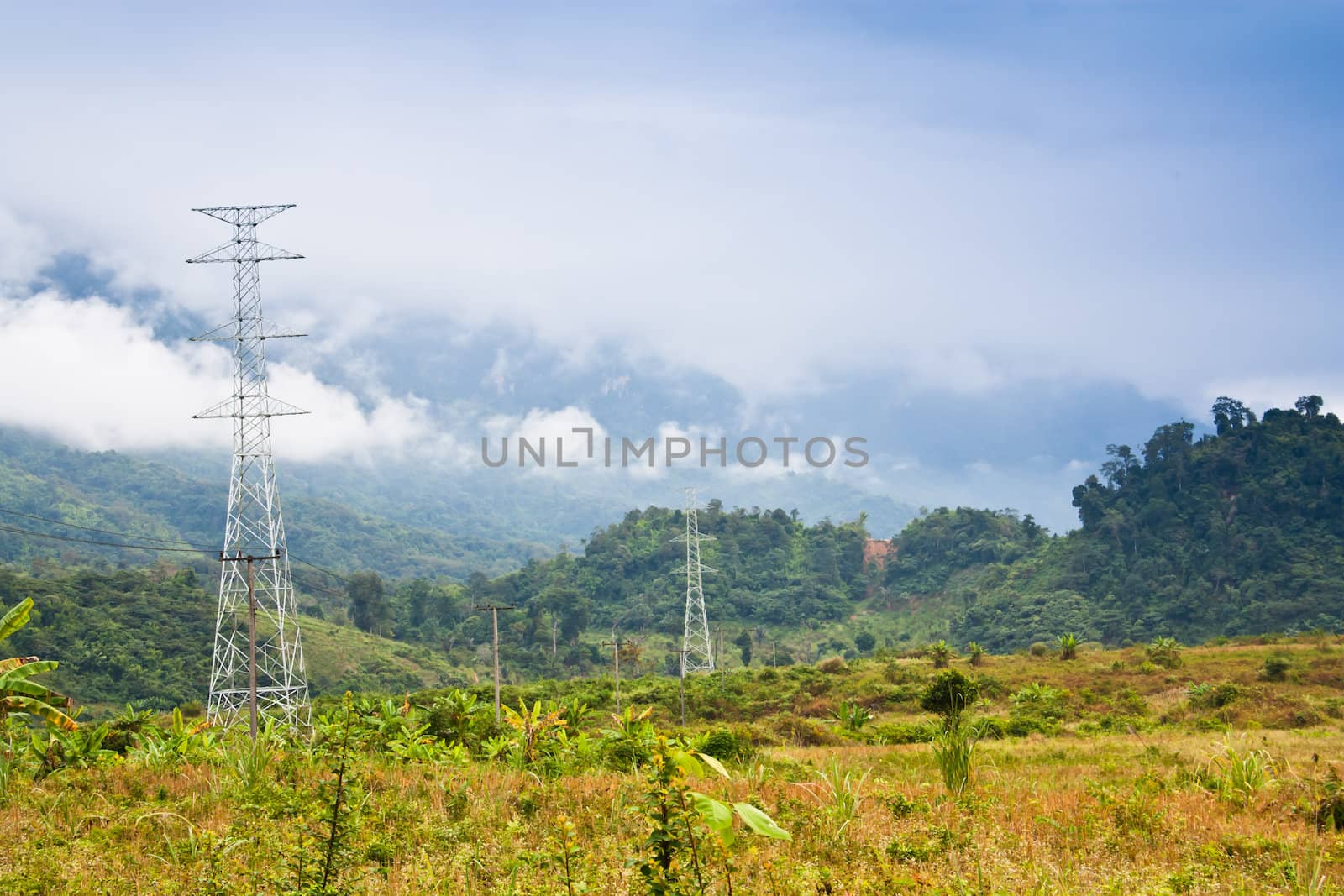 Pole high-voltage power line runs through the place.