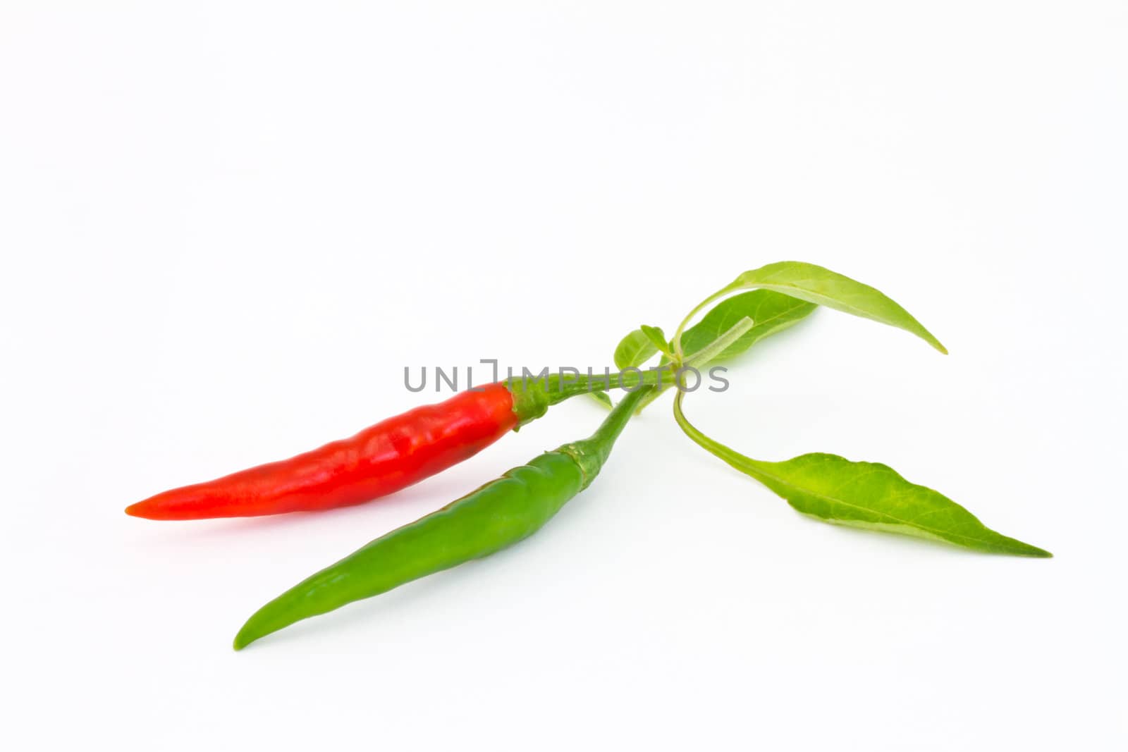 Green and red chili pepper isolated on a white background