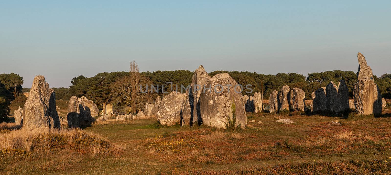 Image at the dusk of megalithic monuments menhirs in Carnac , Brittany in nortwest of France. This formation is a part of Menec Alignments.