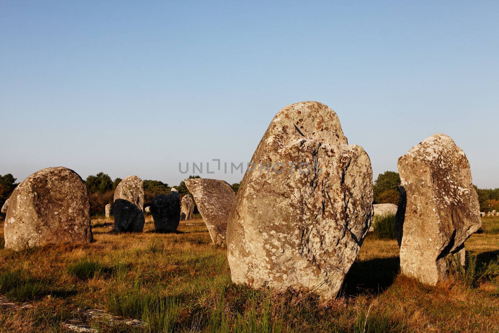 Image at the dusk of megalithic monuments menhirs in Carnac , Brittany in nortwest of France. This formation is a part of Menec Alignments.