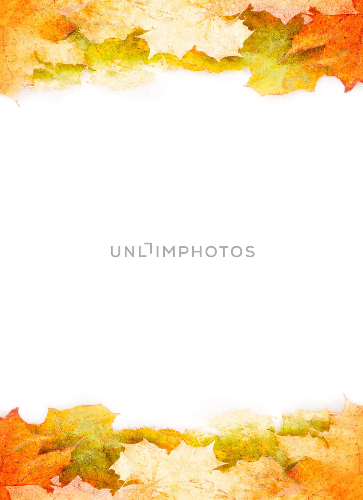 grunge  autumn leaves frame with space for your text