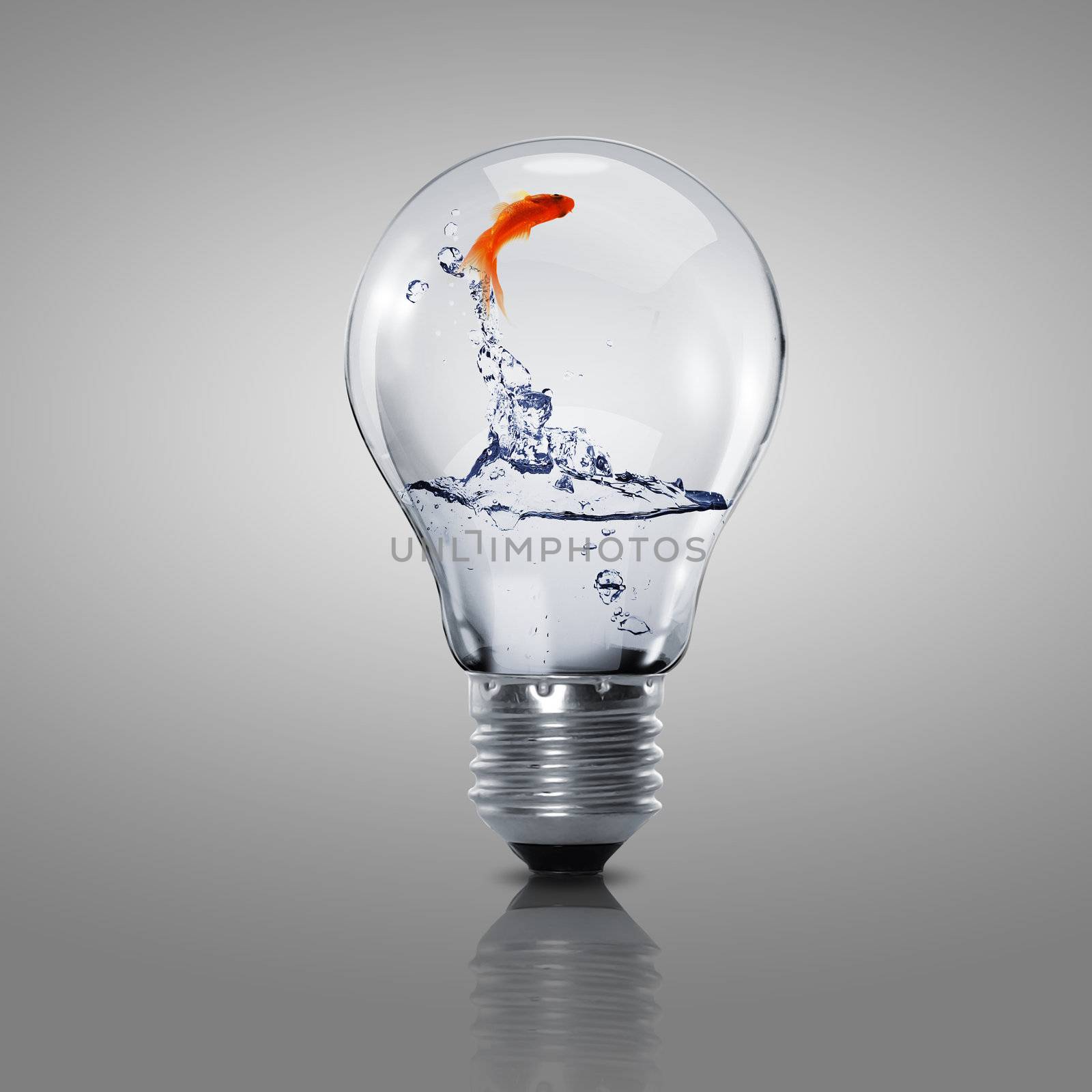 Gold fish inside an electric bulb by sergey_nivens