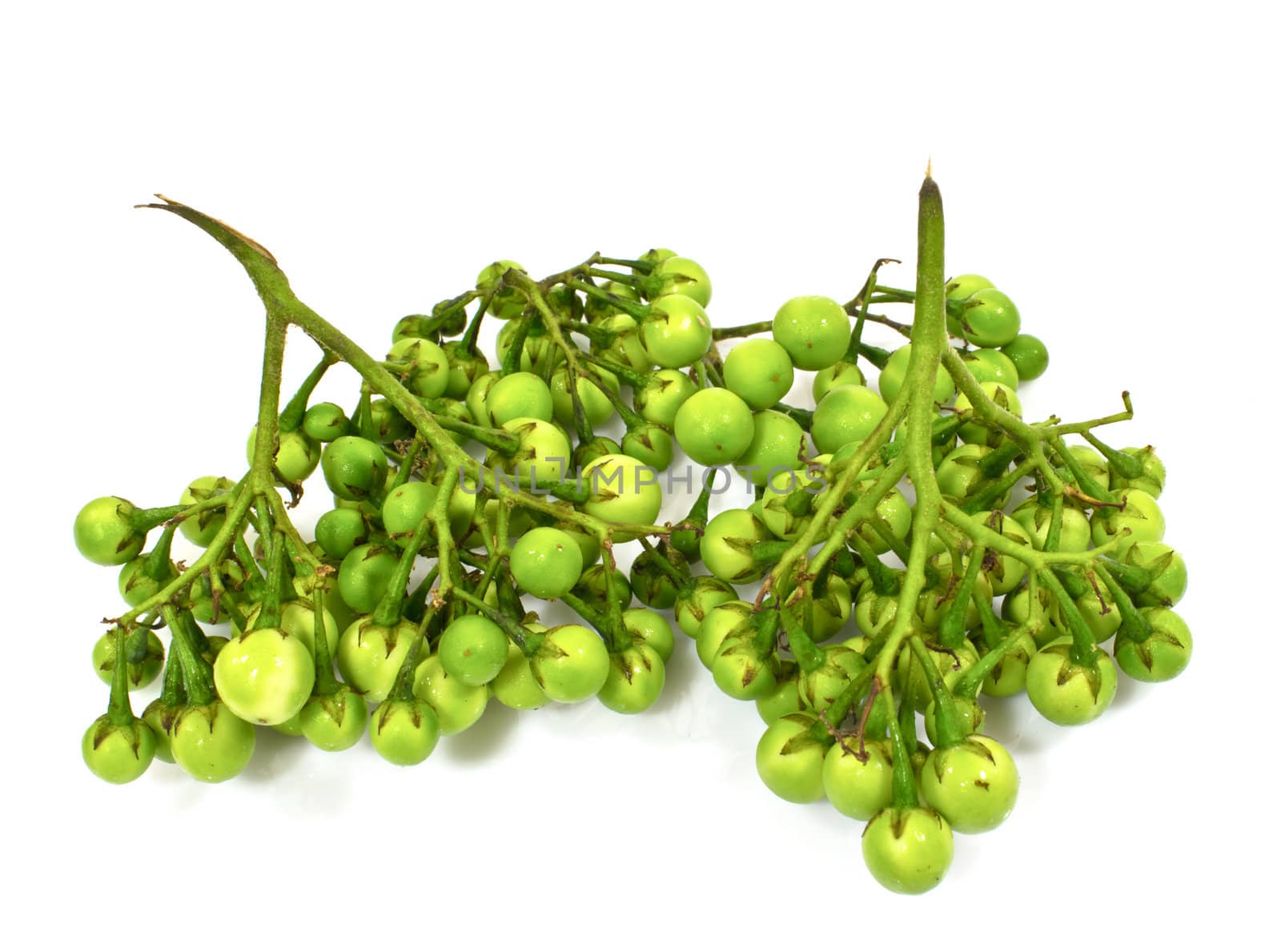 Pea Eggplants on white background