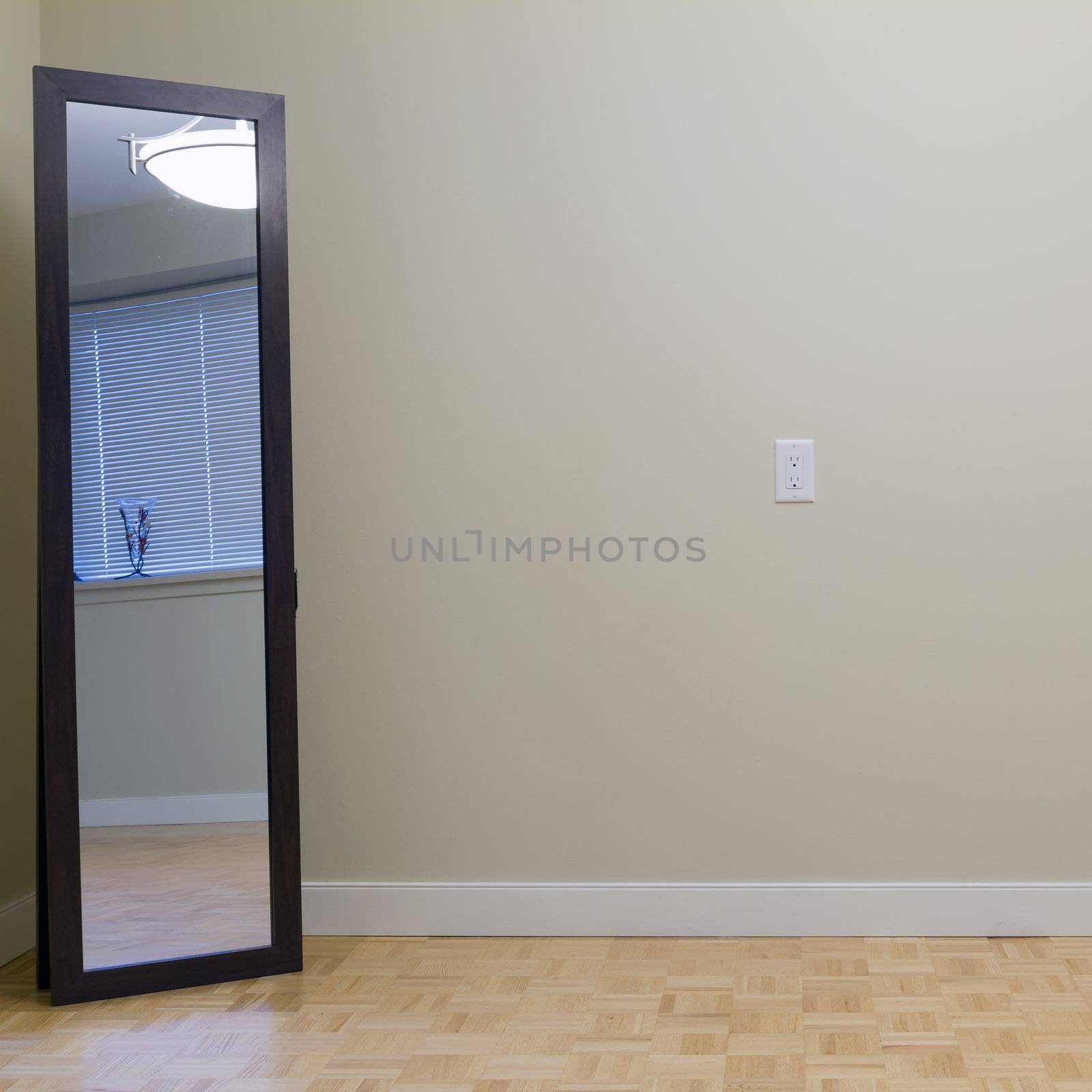 Empty Living Room with mirror in a new apartment