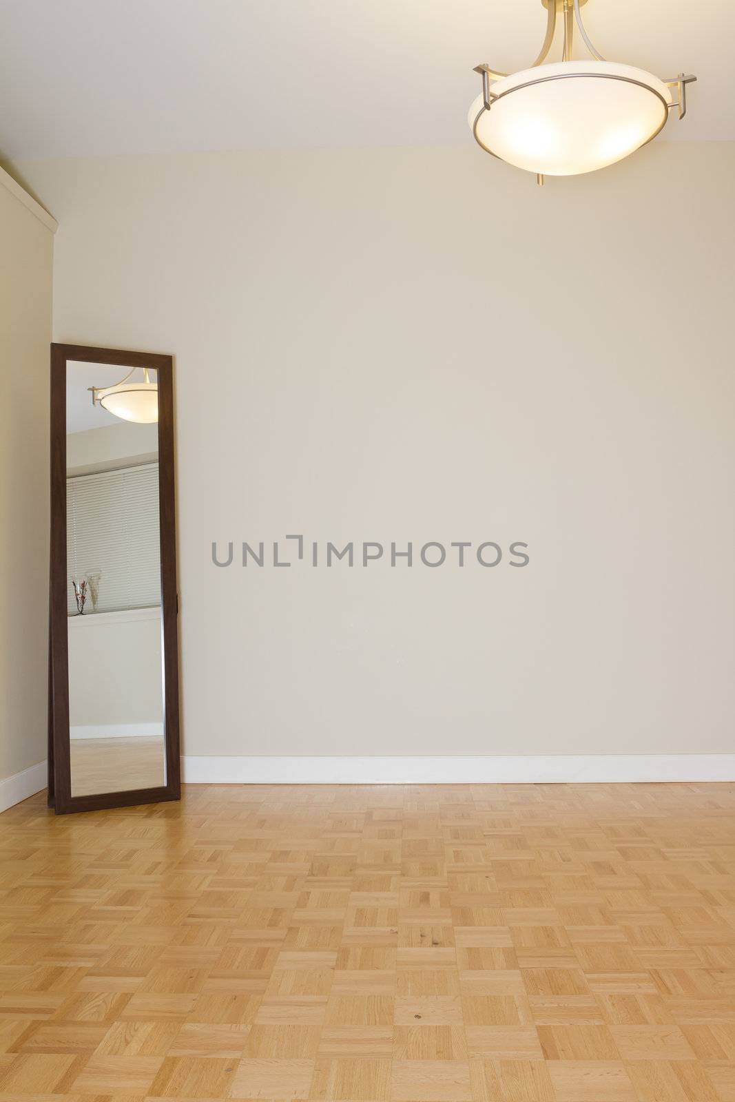 Empty Living Room with mirror in a new apartment