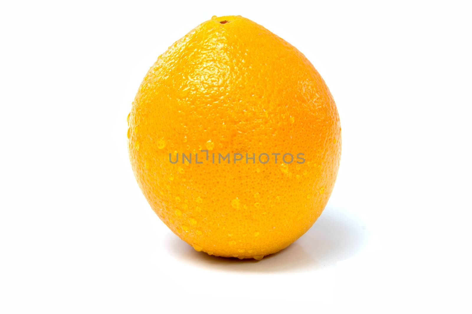 Oranges  Fruit Fresh