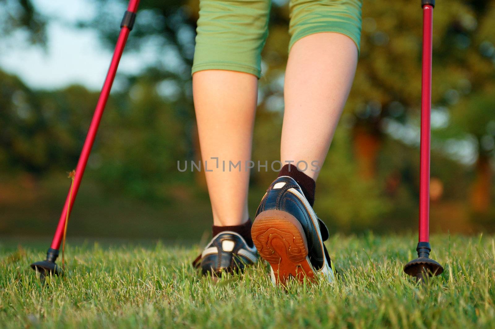 Closeup of woman's legs with nordic walking poles