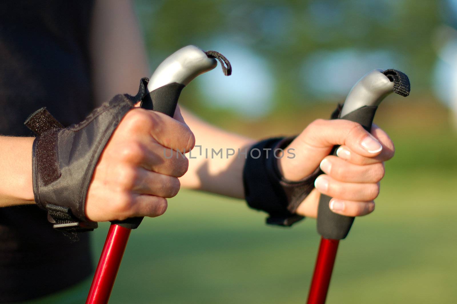 Closeup of woman's hands holding nordic walking poles
