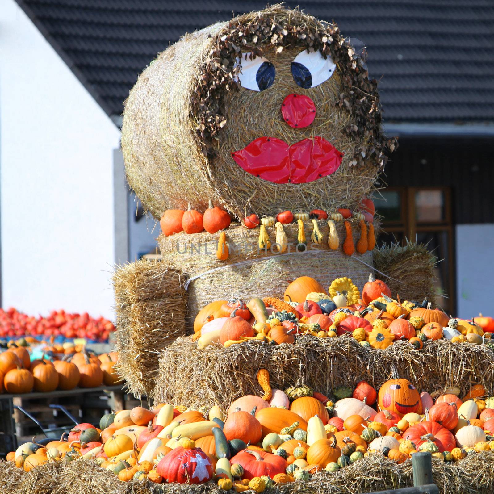 Fun autumn produce display on hay bales  by Farina6000