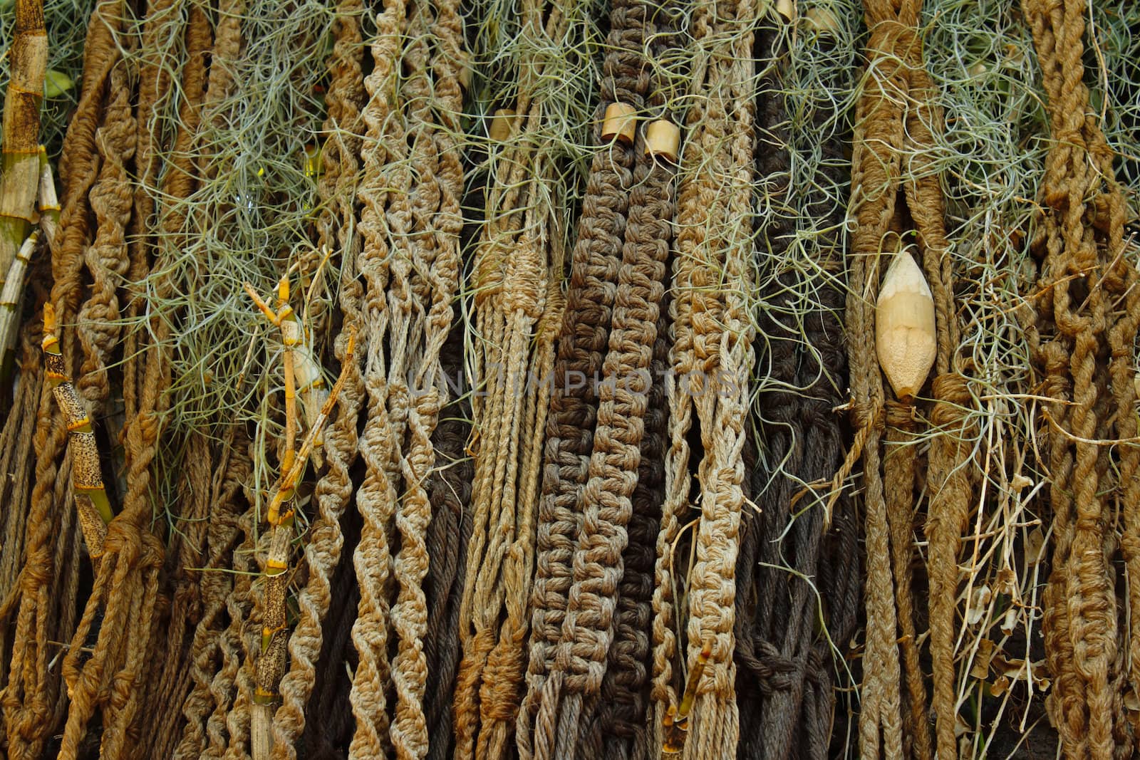 Rope tied to a tree, texture