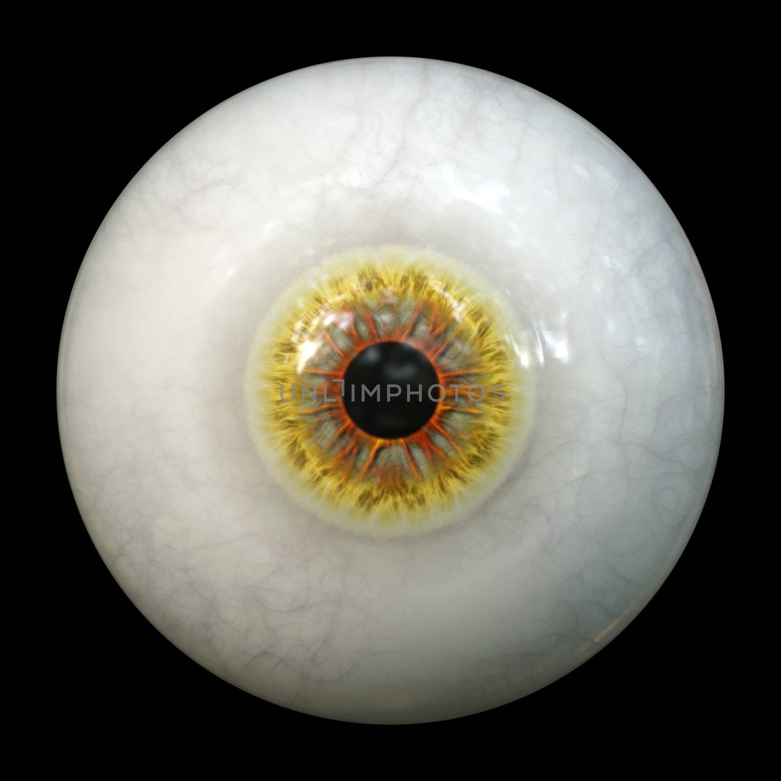 An image of a scary halloween eyeball