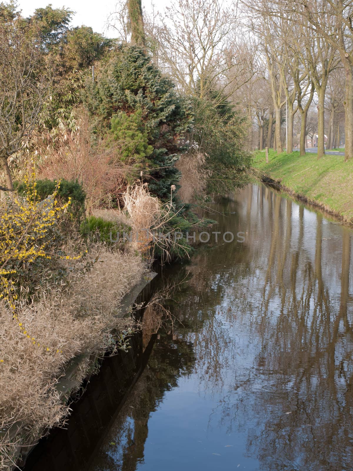 A dutch garden by a small river with reflections by ianthwaites