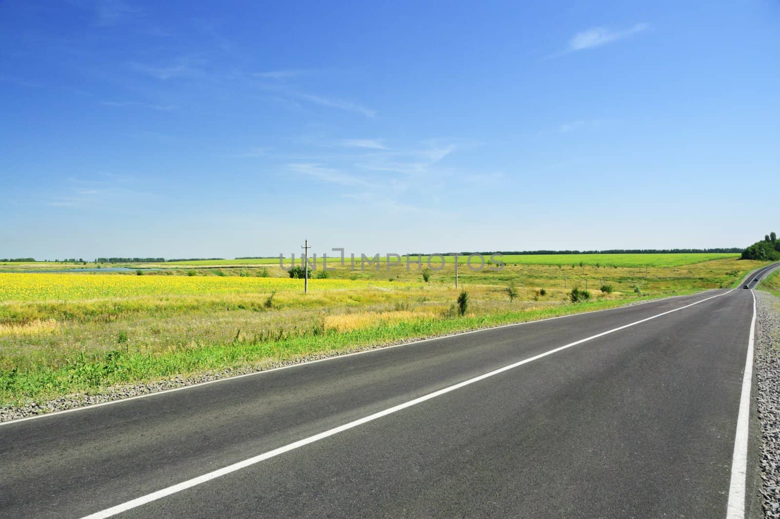 Road and green field on a background of blue sky.