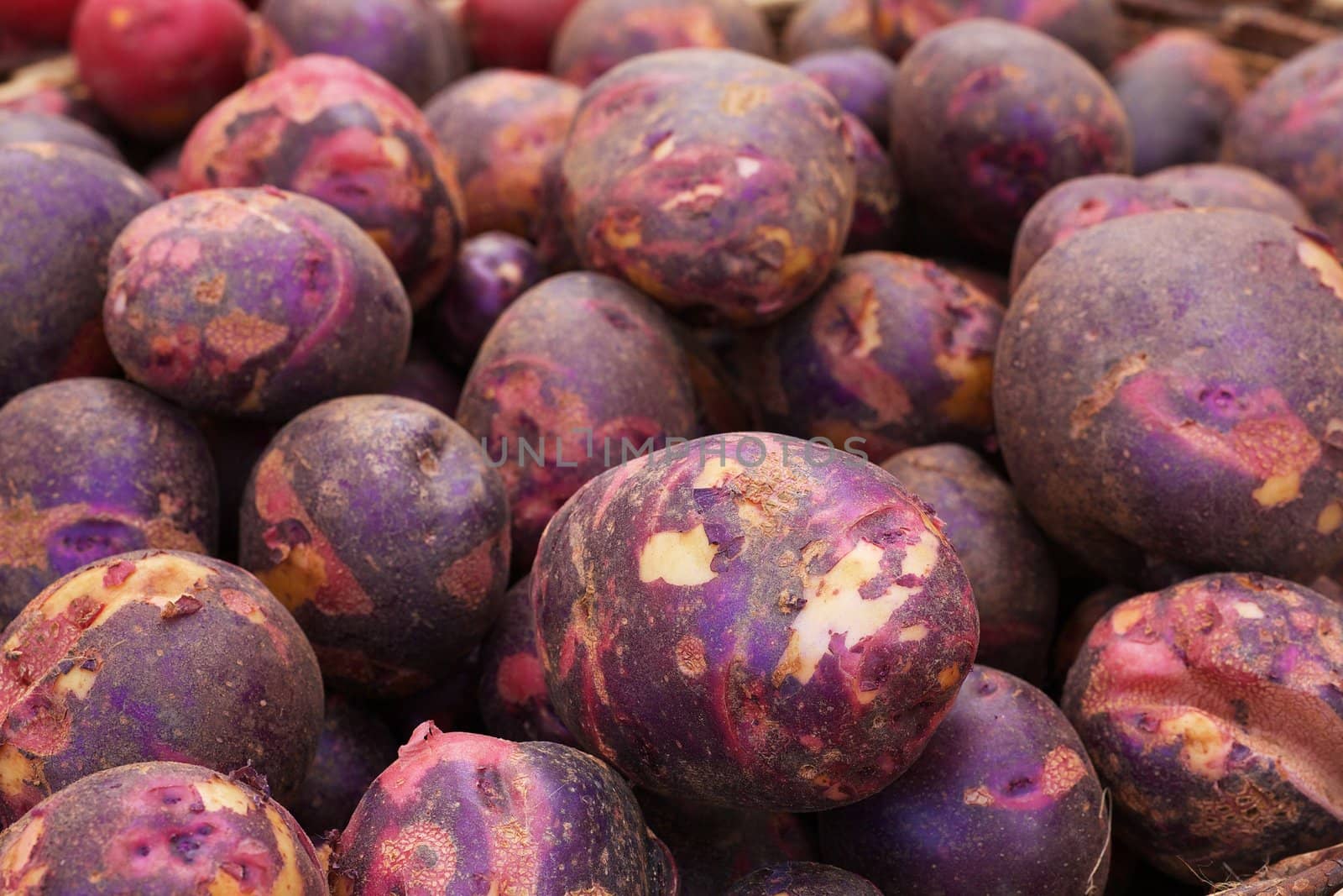 Pile of Purple Potatoes at the farmers market