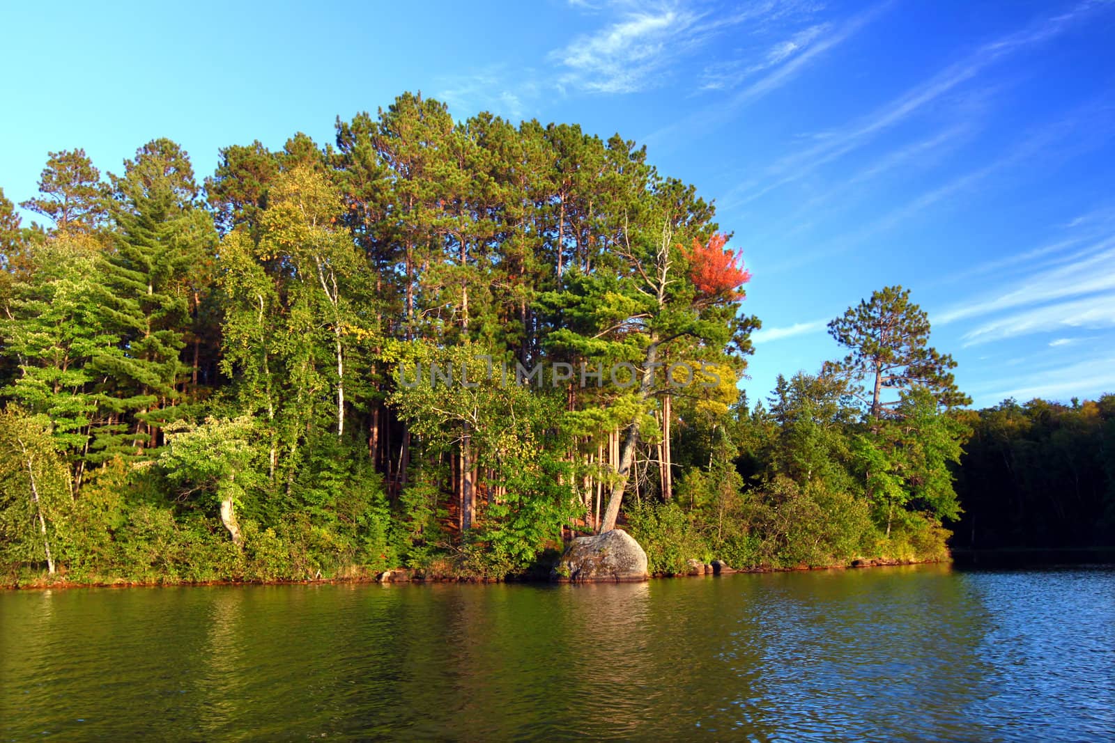 Beautiful foliage along the shoreline of Sweeney Lake in northwoods Wisconsin.