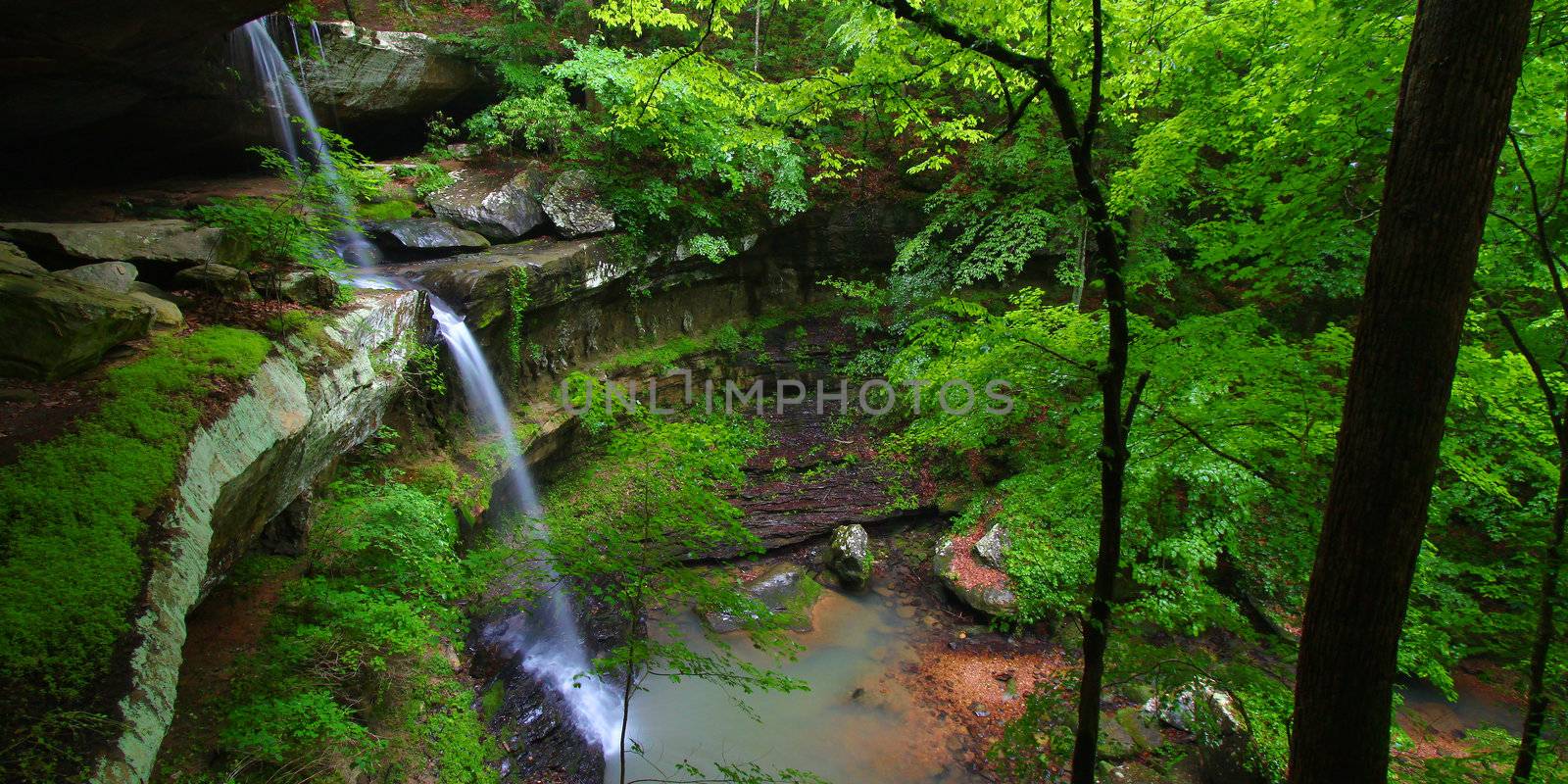 Beautiful waterfall flows into a deep canyon in the woodland of northern Alabama.