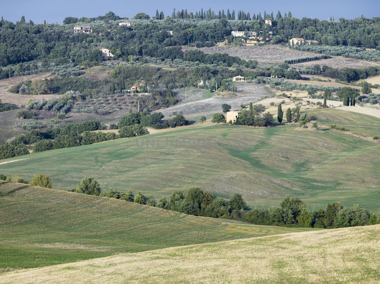 distance view of green meadow in tuscany