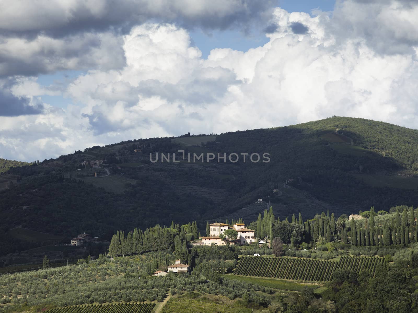 green hill in the field of tuscany