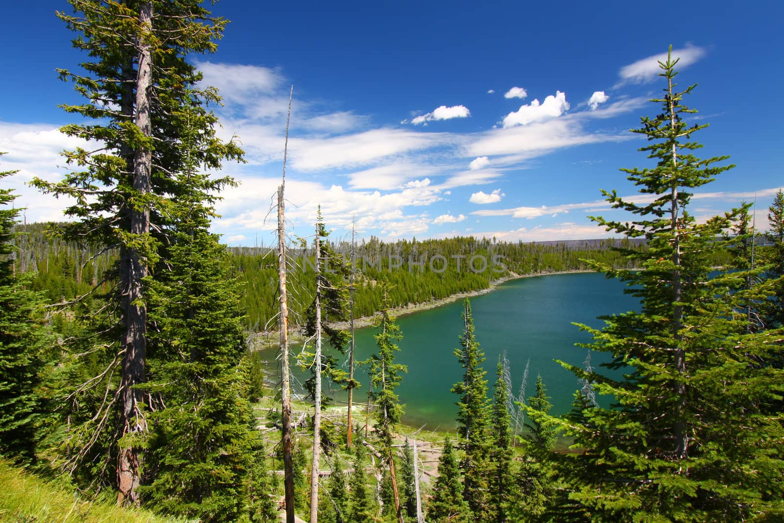 Beautiful blue waters Duck Lake in Yellowstone National Park of Wyoming, USA.