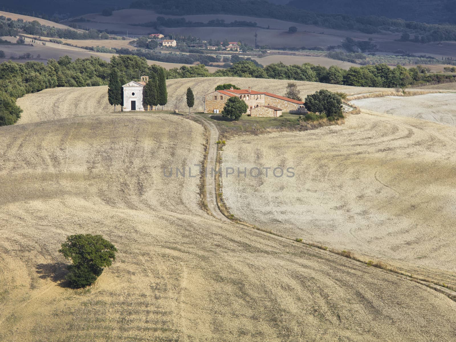 landscape road of tuscany