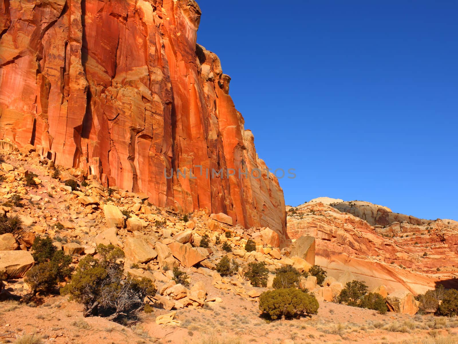 Cliffs of red rock at Capitol Reef National Park in Utah.