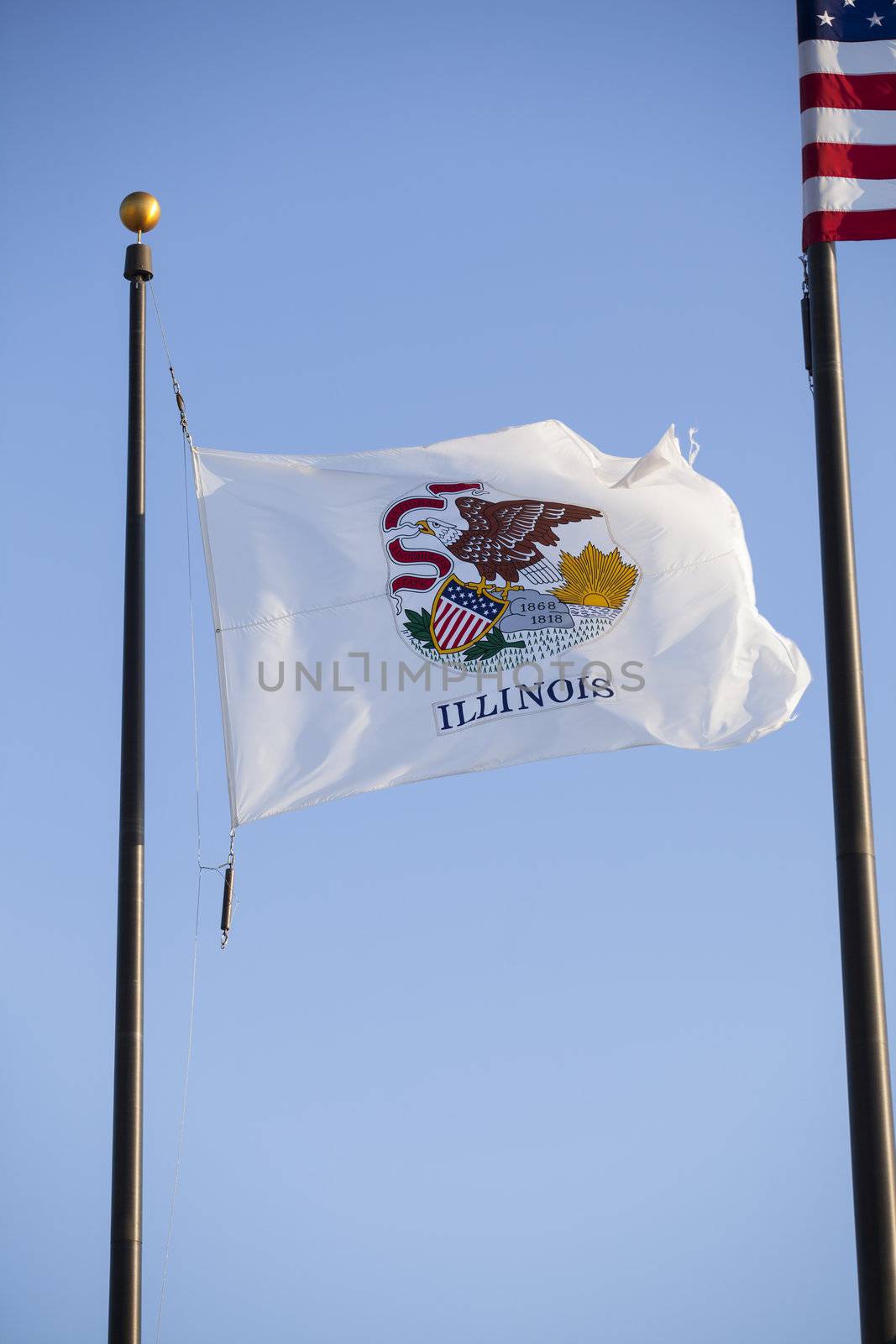 pole of illinois flag