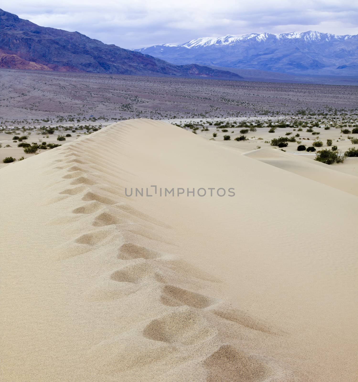 sand dune with snow capped mountains