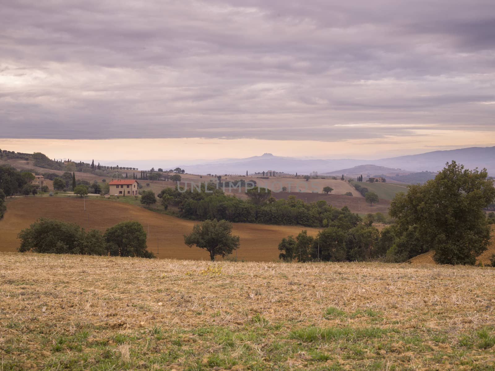 tuscan valley