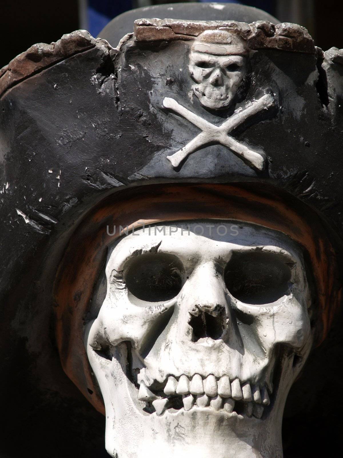 Pirate skull by anderm