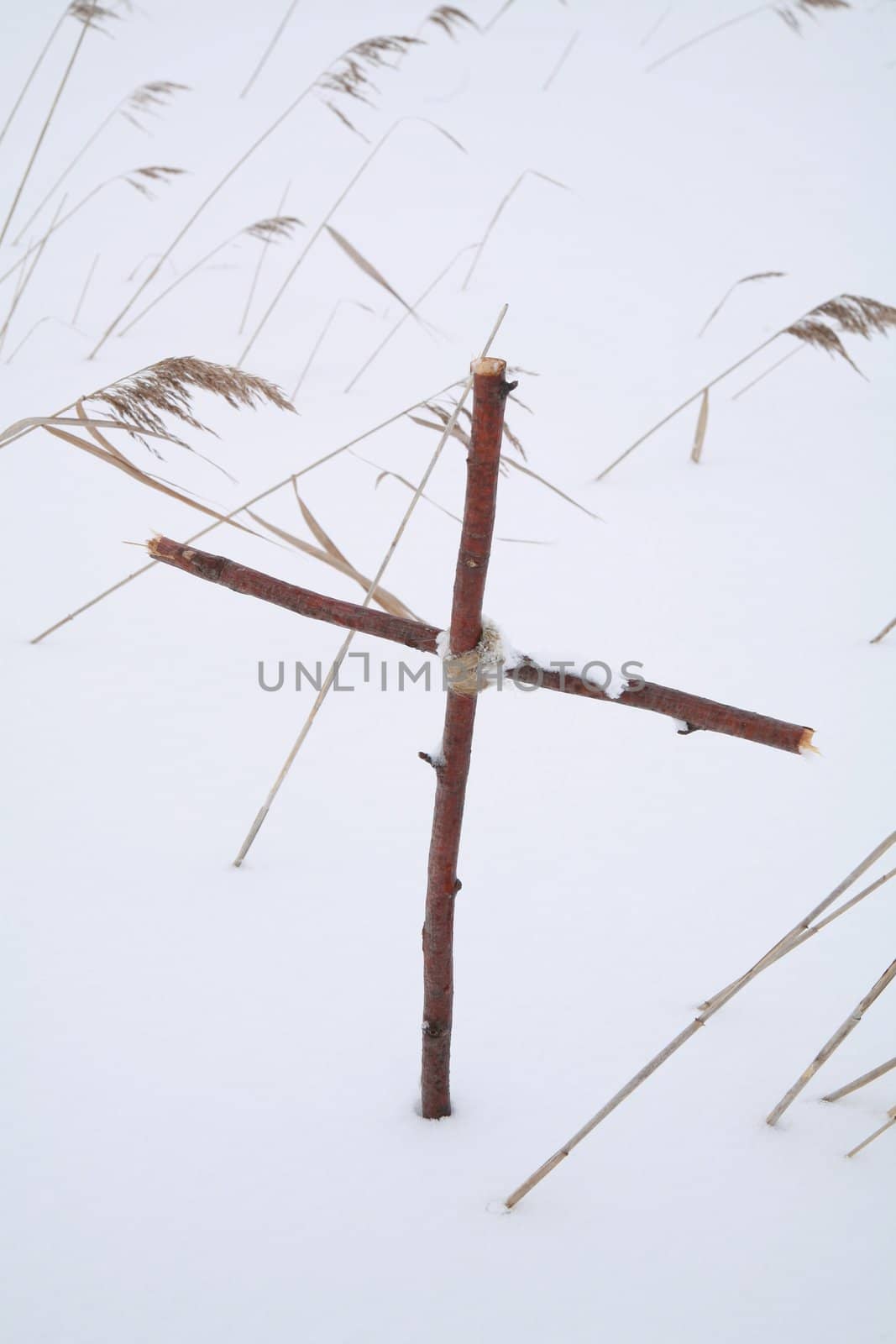 Cross by yucas