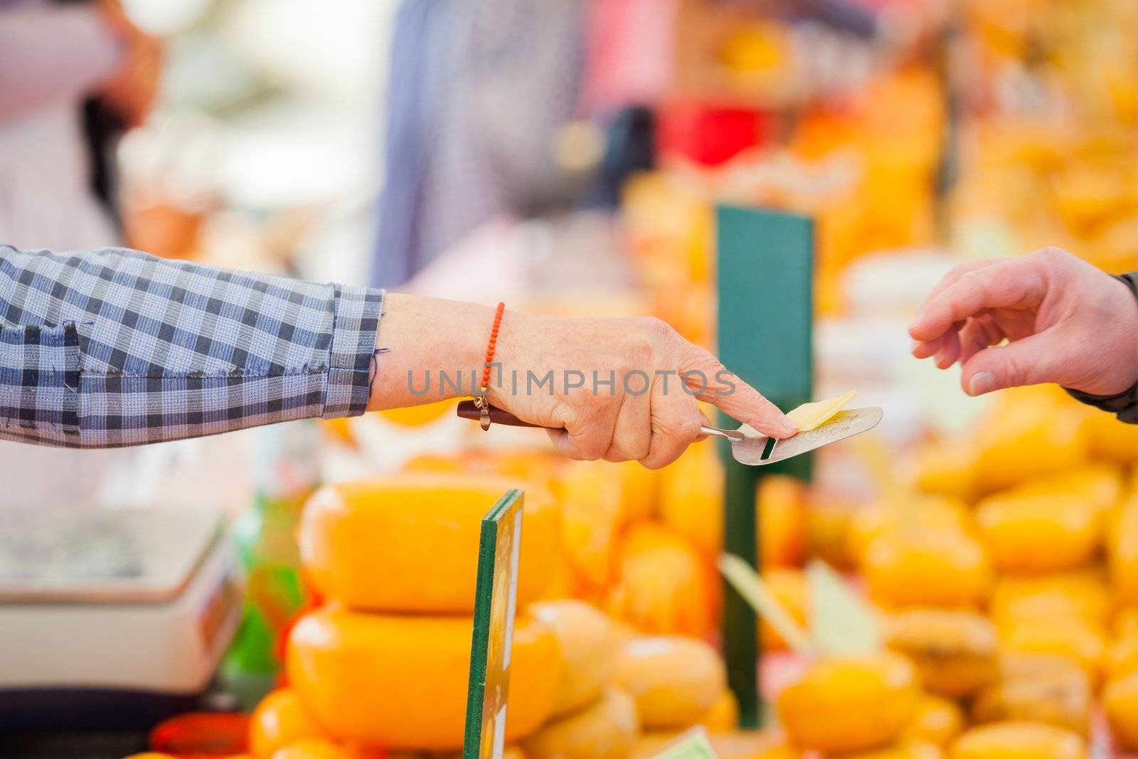 Male hands cutting dutch cheese at the market in Alkmaar