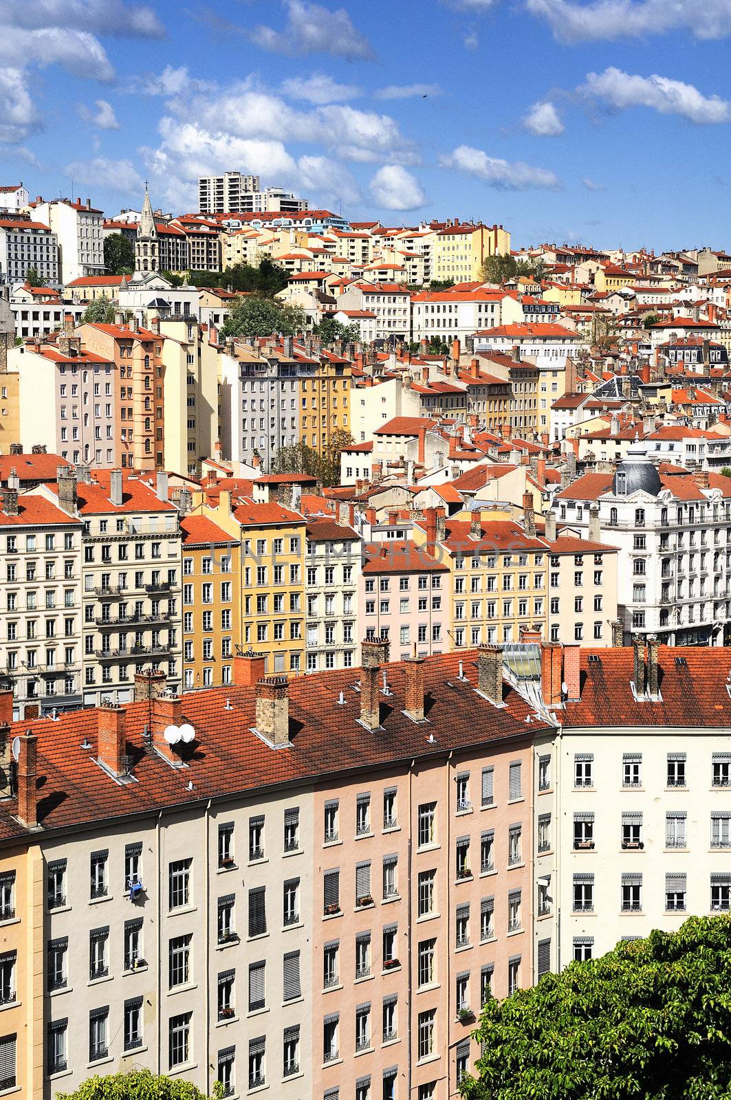 Lyon view, France by ventdusud