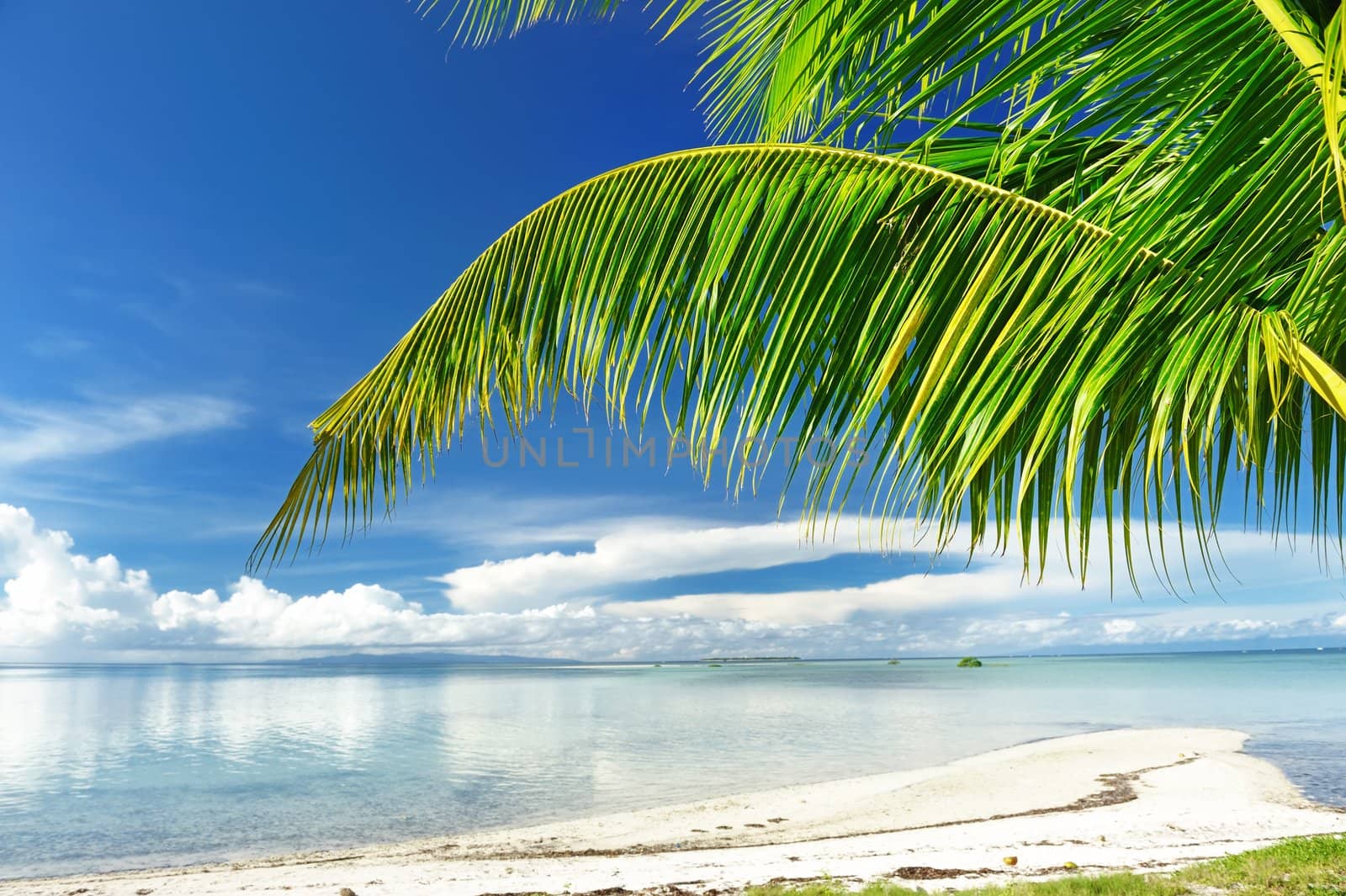 Beautiful wild beach at remote island, Philippines
